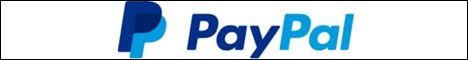 PayPal - the most popular online payment system